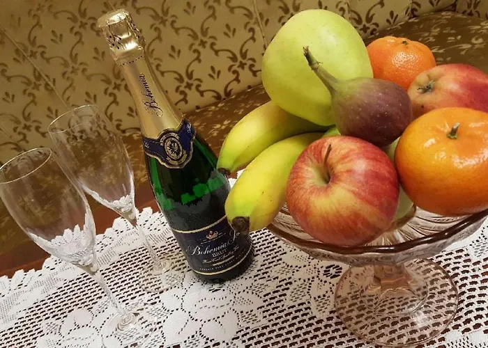 Apartment Napoleon Karlovy Vary